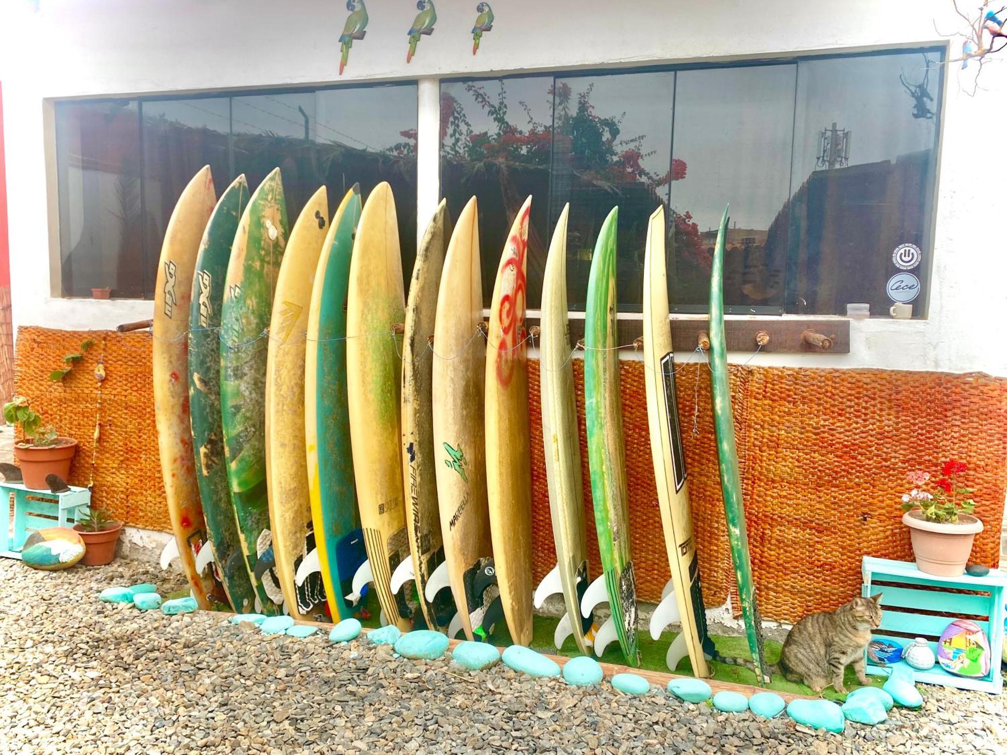 فندق Surf House Chicama بويرتو شيكاما المظهر الخارجي الصورة