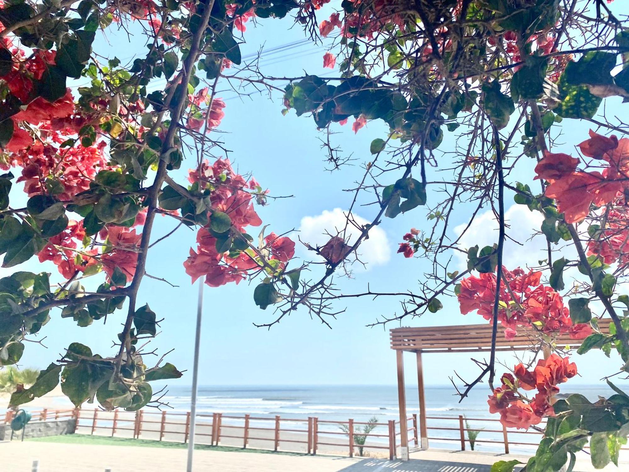 فندق Surf House Chicama بويرتو شيكاما المظهر الخارجي الصورة