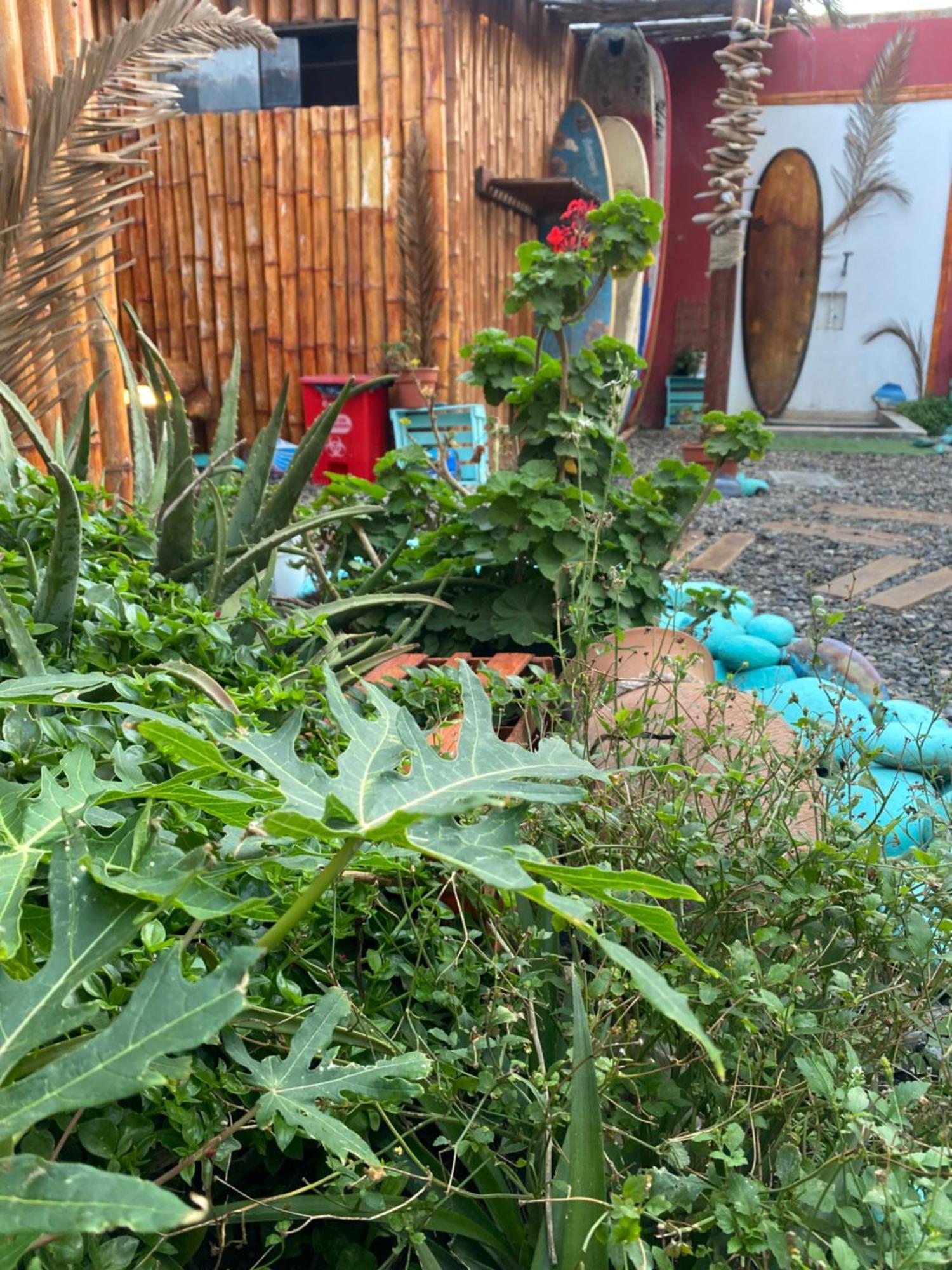 فندق Surf House Chicama بويرتو شيكاما المظهر الخارجي الصورة